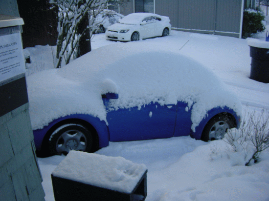 Jan Snow 2.gif