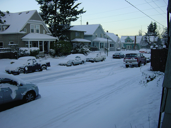Jan Snow 3.gif