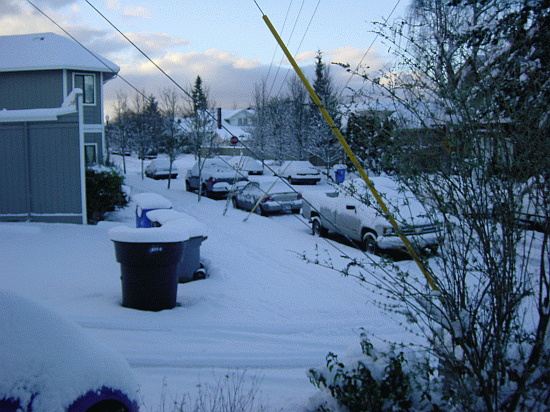 Jan Snow 4.gif