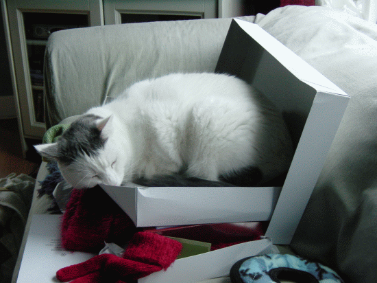 Moby Christmas 2005.gif