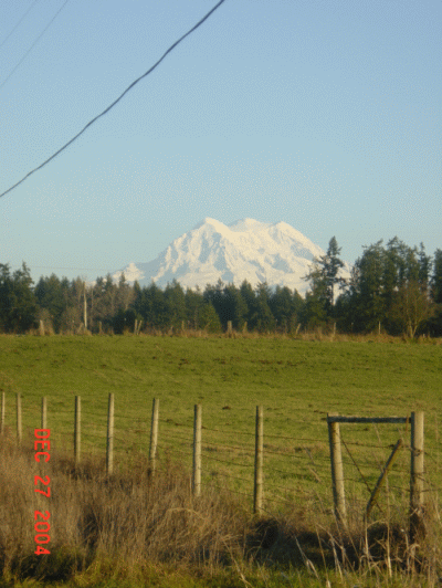 MtRainier.gif