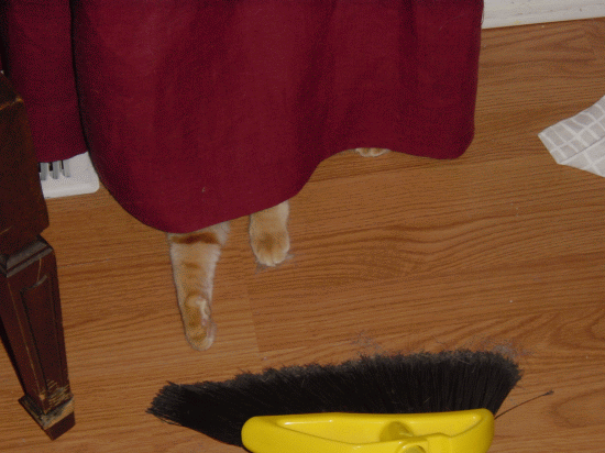 Percy Hiding.gif