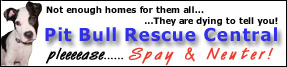 pitbullrescuecentral banner.jpg